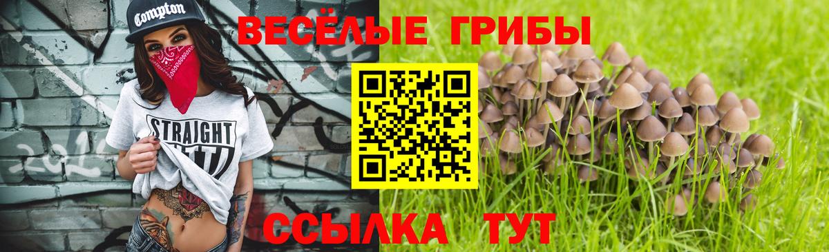 Грозный  даркнет сайт  Вход с VPN  Галлюциногенные грибы ЛСД 